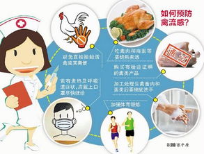 近期尽量避免接触活禽 家禽批发市场每日严格消杀