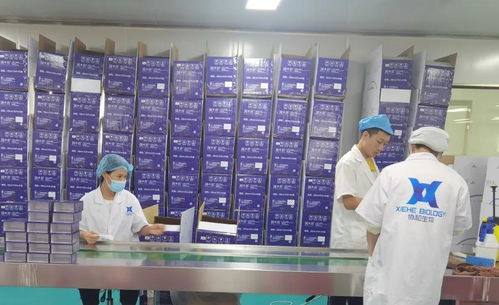走进工厂,探秘斑小将诞生之旅