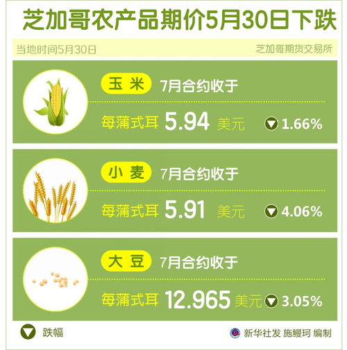 图表 芝加哥农产品期价5月30日下跌