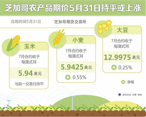 图表 芝加哥农产品期价5月31日持平或上涨