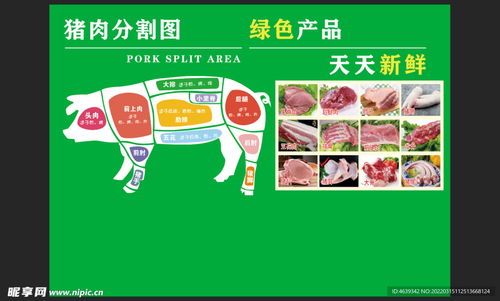 猪肉分割图 产品图设计图