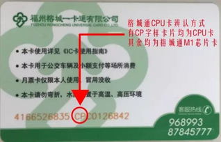1号线明天试运营 如何购票 每天开行多长时间 如何接驳换乘 最全信息都在这儿