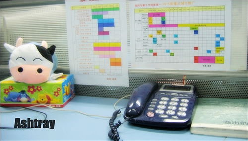 福建修行回忆录3 欣欣向荣 天天向上
