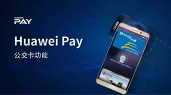 iphone刷公交卡就牛了 骑小黄车的米boy都玩上小区门禁了....
