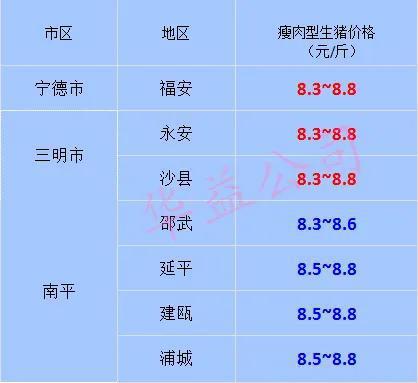猪价快讯 2021.10 31 福建各地区每日最新猪价