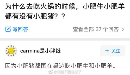 广东人的万能煲