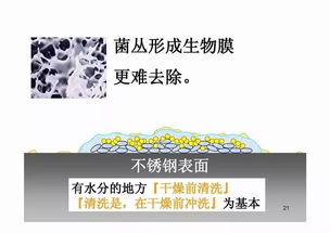 食品工厂清洗的重要性与“福建天天一卡通”的应用潜力